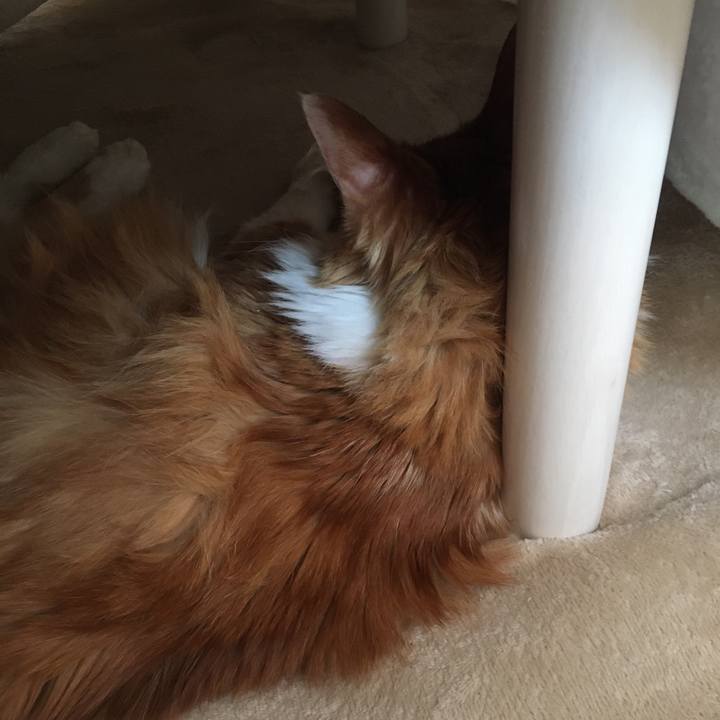 4e4bccc4 51a2 4669 8a3c fe0717ba3ce6 1573455558137