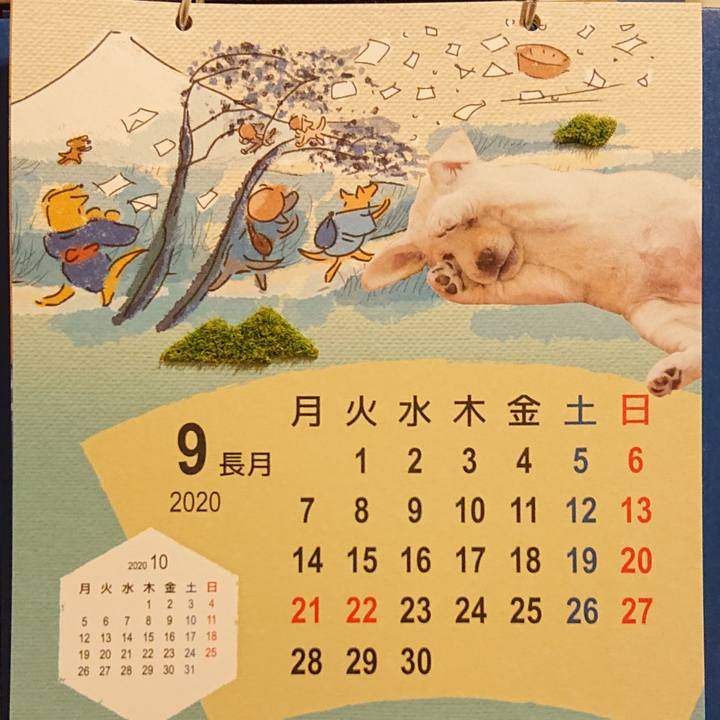 4e4bd439 948d 45fd 8ead 53e15c1151ac 1598967542214