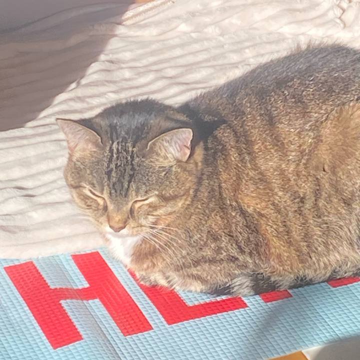 4e4c1683 aa45 40c6 820d 53c79f54a5af 1731121244163