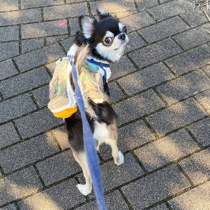 4e4c1711 3a7f 4db6 bcff 1c3256ab002a 1671979119149