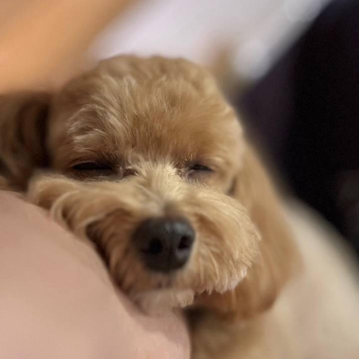 4e4c3d4d 88b1 485a 9340 0d211edb5ebd 1728473451636