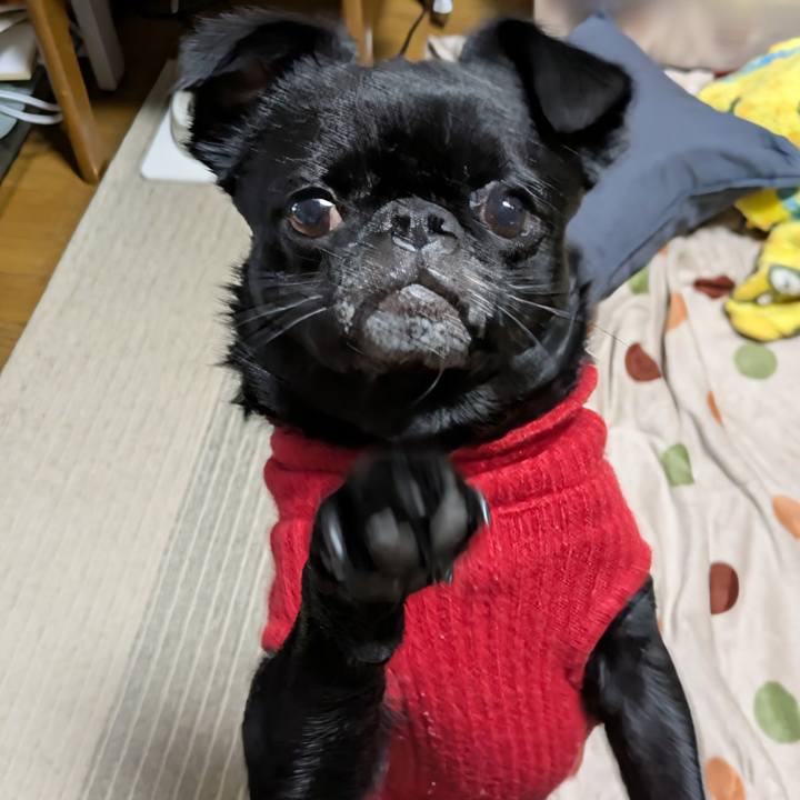 4e4c5620 e380 44dc 8860 139feadf30b2 1767106158704