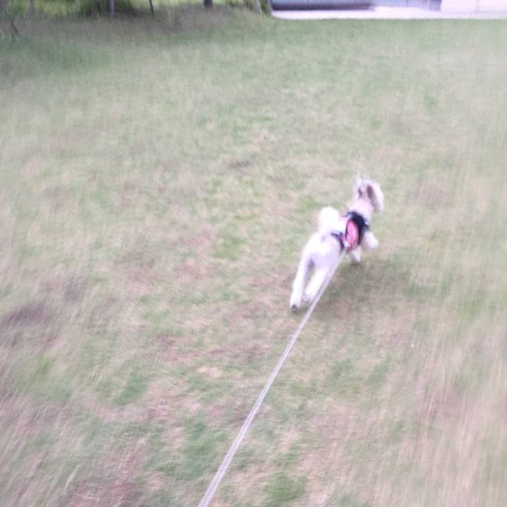 4e4c5bbe c122 41ff a4ee 213a878d123d 1525864084178