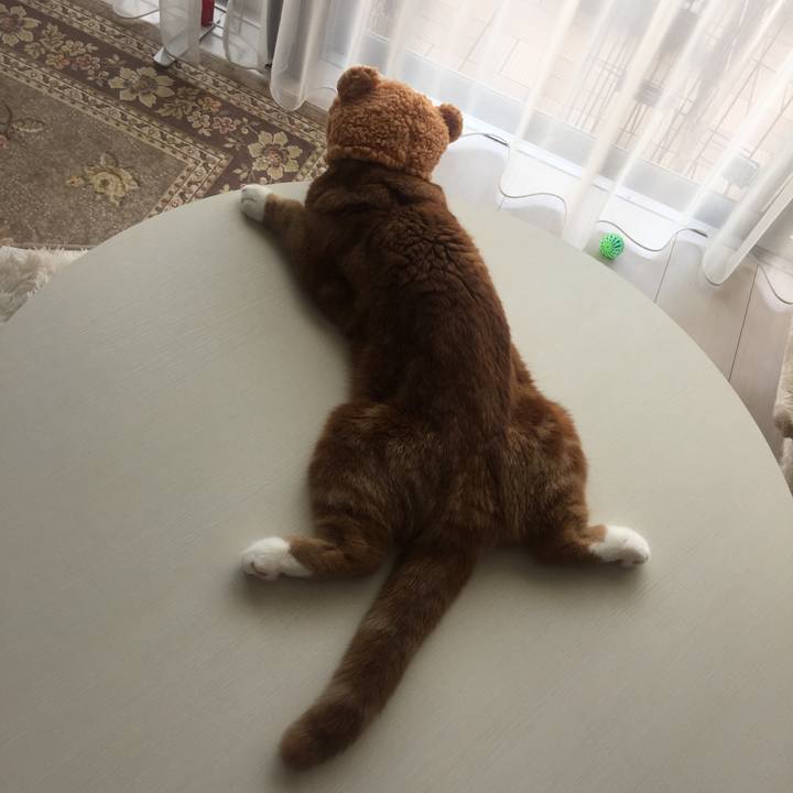 4e4cbabe 3b4a 44ac 8b7d b064a7ad6165 1531953801580