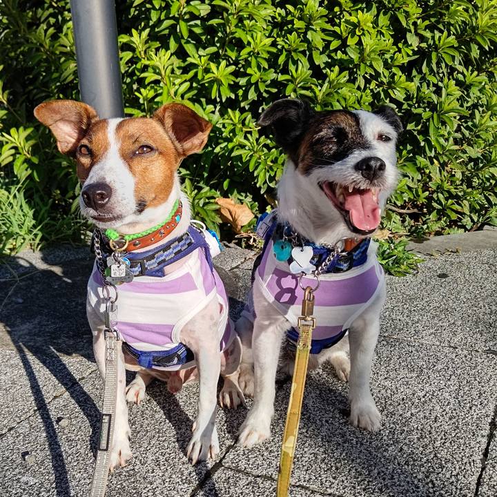 4e4cc075 2f9e 4894 9acb 652a0ba97036 1628546624501