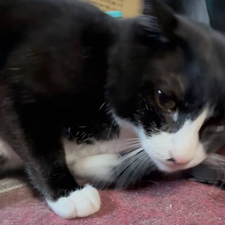 4e4d08be dc11 4bdb a5a2 86362e1173fc 1756691880499