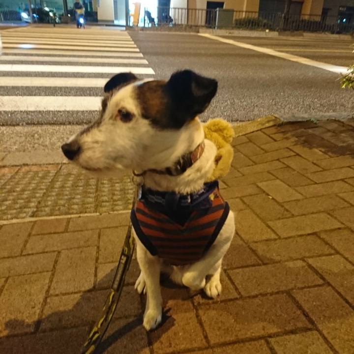 4e4d0a85 d599 49a5 92ce b566276f8ba0 1519820187049