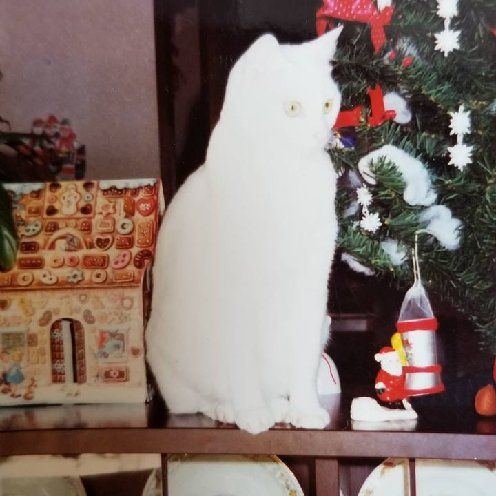 4e4d2bfc 4258 47c3 be1a 1982c6167bac 1558431979749