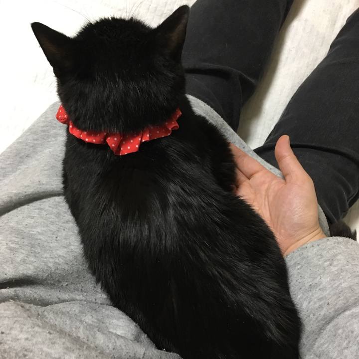 4e4da25a c0a7 41d1 9d02 56847e7caf23 1552128932663