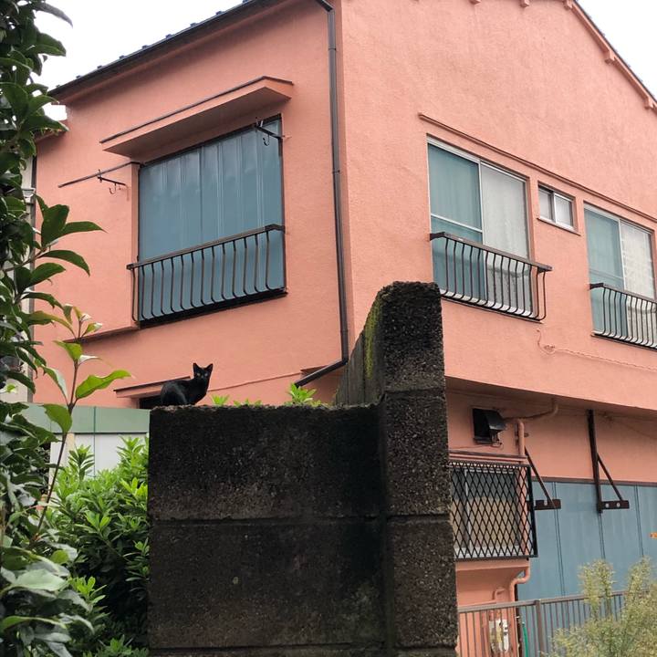 4e4da269 a8b1 4fad bef5 54ad517bd124 1603574832074