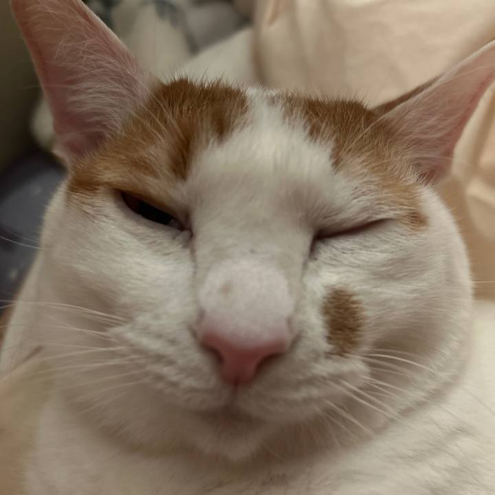 4e4dafec 14d8 4db8 a9c3 6769d1ef9052 1761829429722