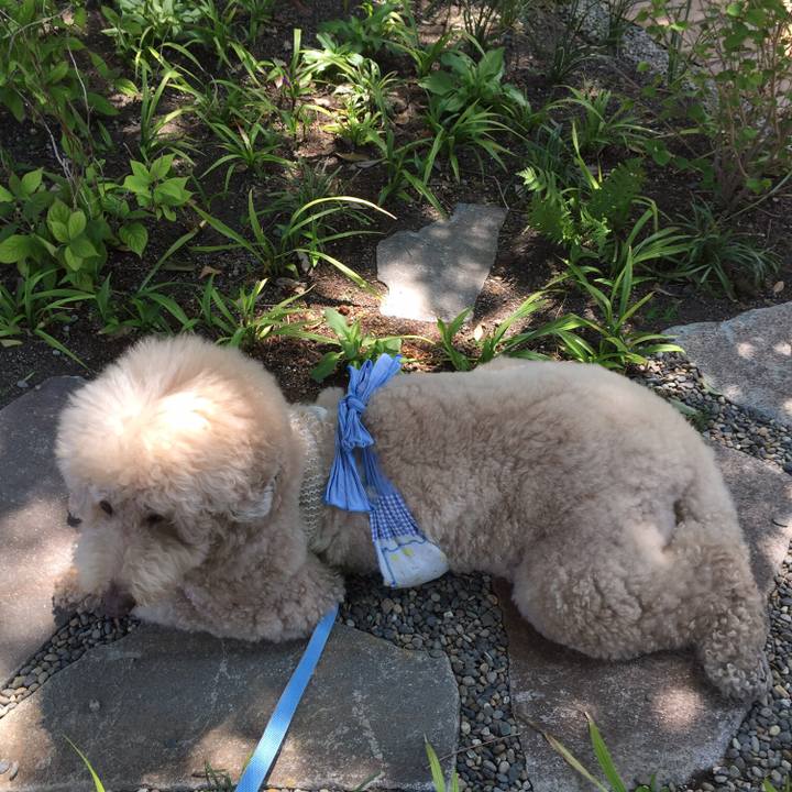 4e4dd641 b92f 44d6 ae66 fa8fd2b410c0 1557567585832