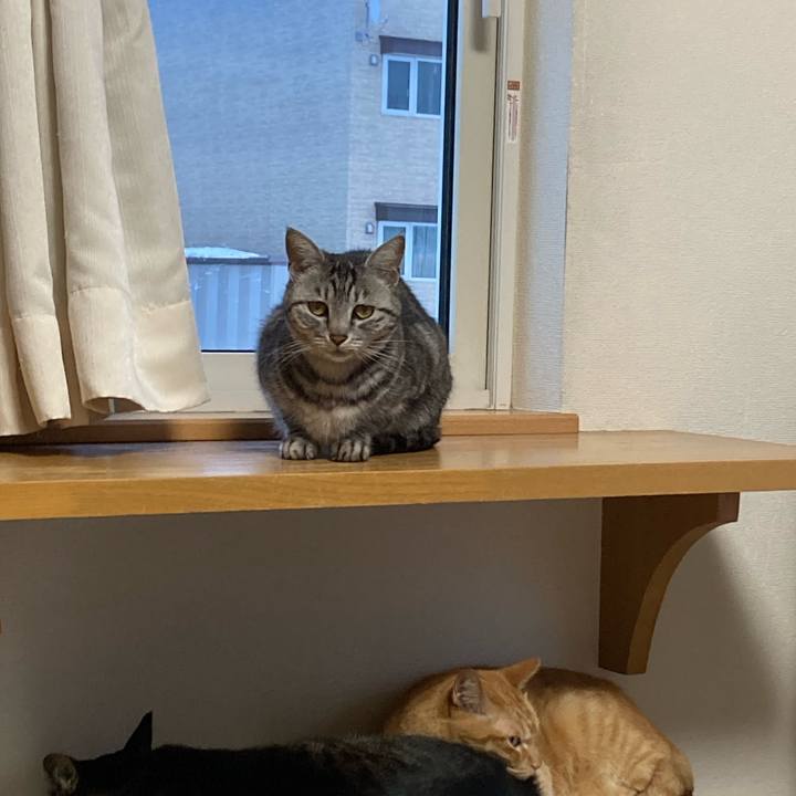 4e4ddcbf f83f 4bd9 929e 3d917a0444bb 1742243179017