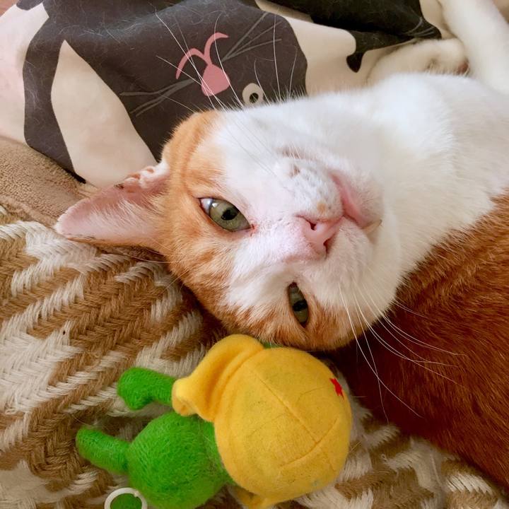 4e4e03a4 f6ce 4d72 ad42 4befd0507a22 1568976353480