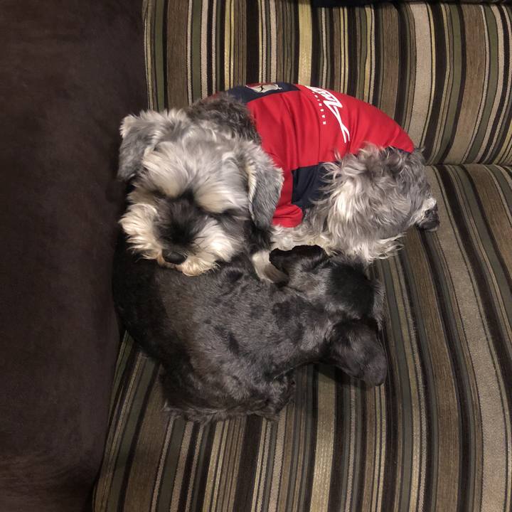 4e4e3055 3be9 4890 acb2 015d10c5c6de 1526268391667