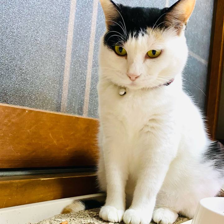 4e4e45ef 9b3a 4626 8727 887cc634b3c4 1663110483473