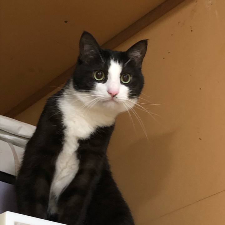 4e4e57df 3600 426b 9785 3ff67f6c2be1 1519520109134