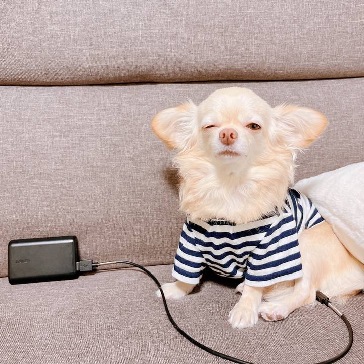 4e4e62bd 5252 4f45 a149 327a4994e8cd 1657885161813