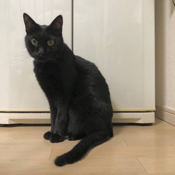 4e4e670d b655 4e74 b83d 85b2823ba8a2 1606218728906