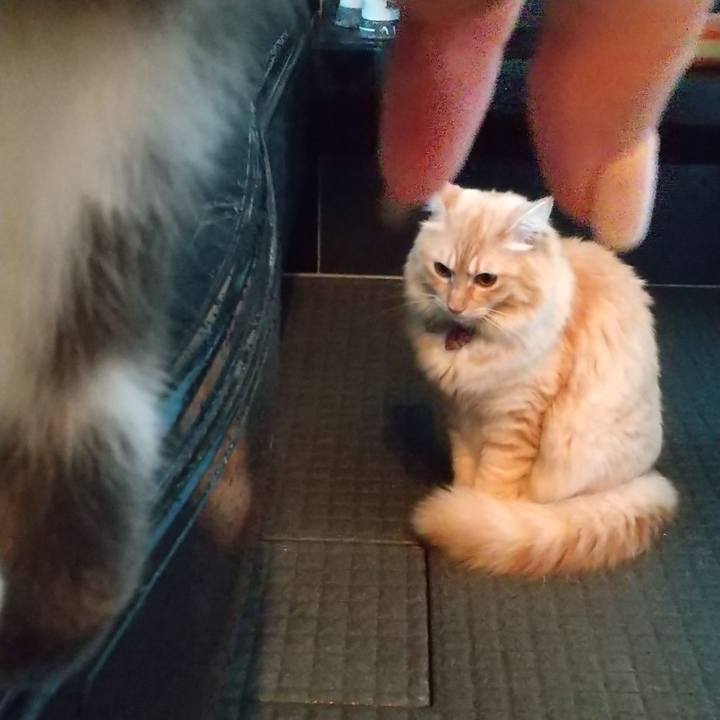 4e4e6eb9 eea7 4ebf 8235 a1af34cf1f6d 1634508243133