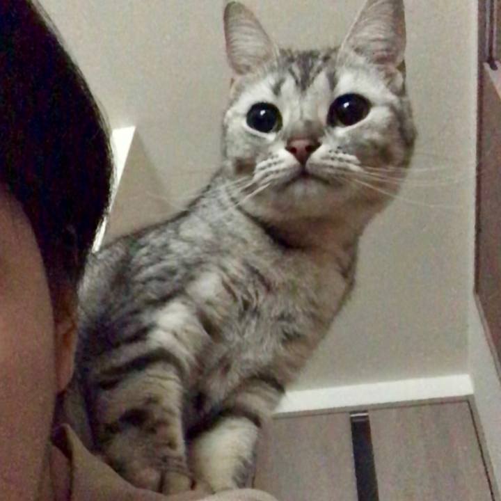 4e4e8655 8924 43fb aca6 6d744b42f3d4 1551530162109