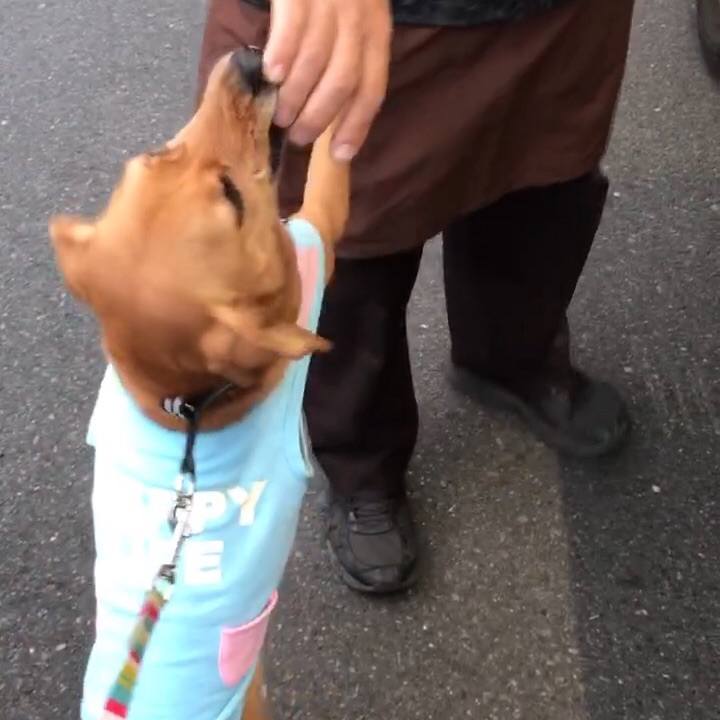 4e4e8af2 838e 4156 be21 b20771b2c4e4 1519996727997