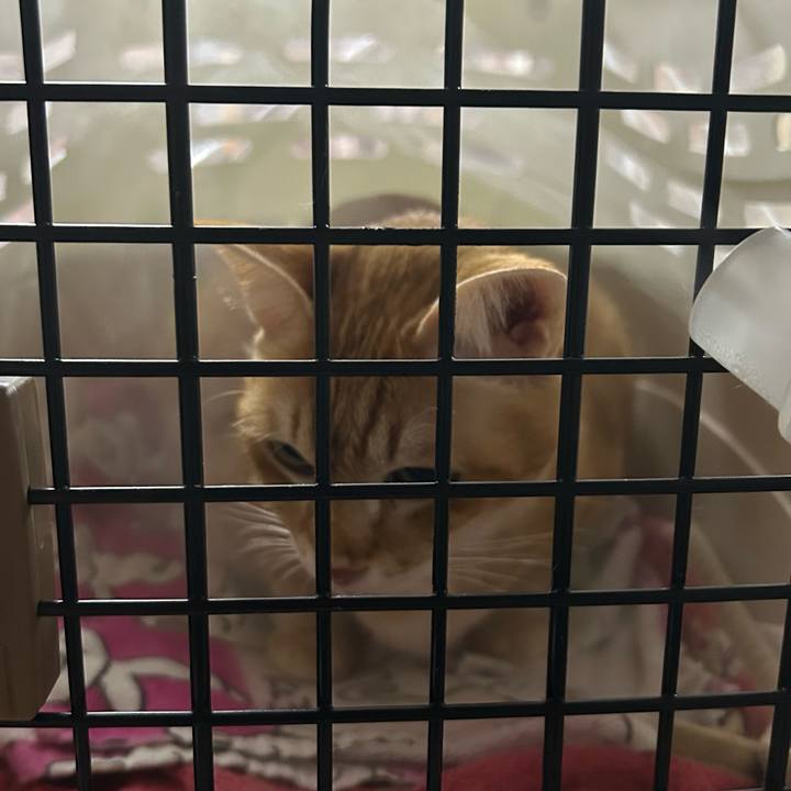 4e4ebb2c be4f 4d27 89a1 904a3145e75e 1680086379335