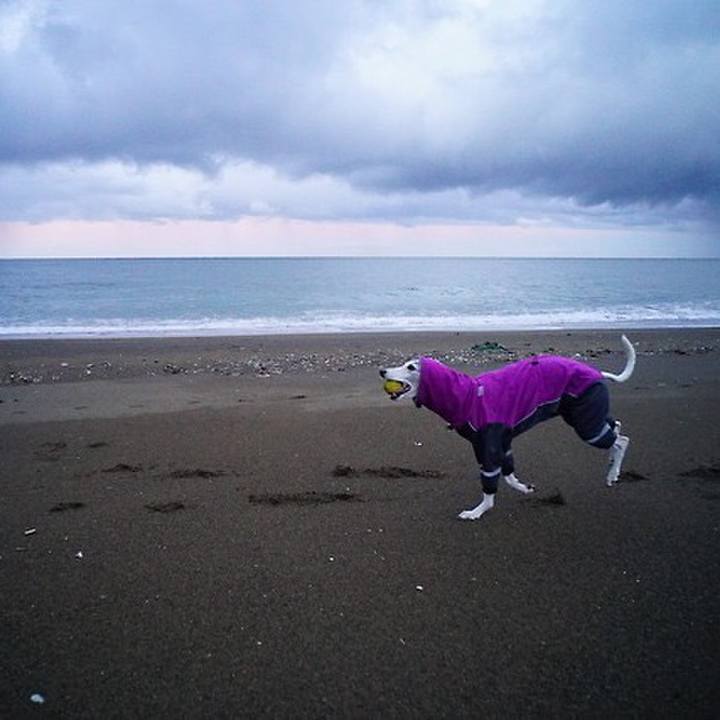 4e4ec0a5 885d 42c3 85b3 e5136833ff26 1543401164781