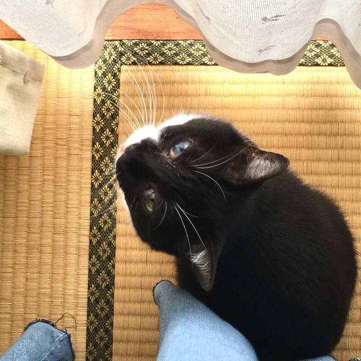 4e4ef0df ea2e 4350 bf53 40124bc489cb 1530257729120