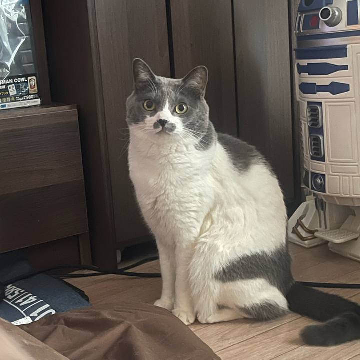 4e4ef1b8 b627 42c9 8400 2de3e2a53dfe 1705304703253