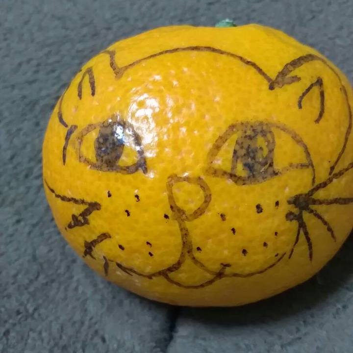 4e4ef48e eca4 4e80 b55f d31277fab8e7 1542552423886