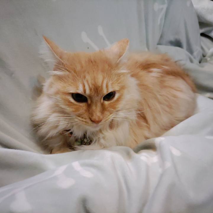 4e4f085f 5b21 493f bf72 a18ce2251665 1707261018533