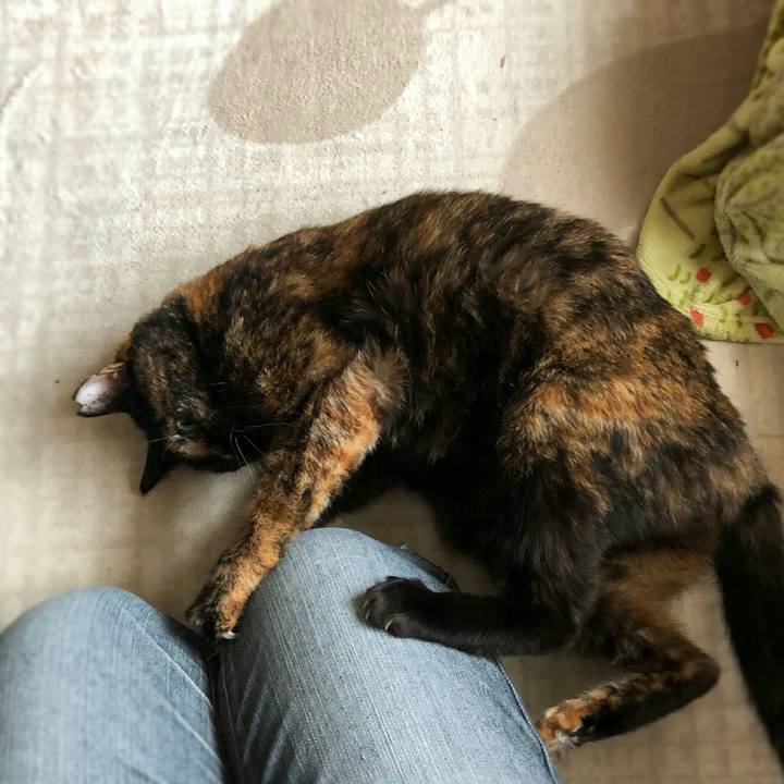 4e4f0d1d 9933 427b 92be b6619cd6839c 1580704314977