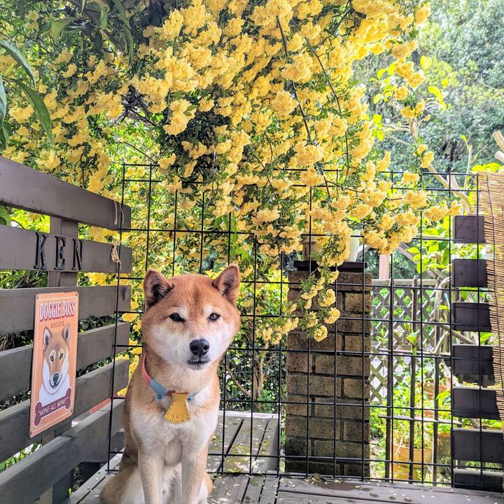 4e4f2508 01b2 4f80 afea 01b251e7074a 1714033485070