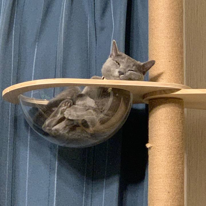 4e4f424d 3d24 4649 8f2b 3a1eff9d0dd7 1603102909223