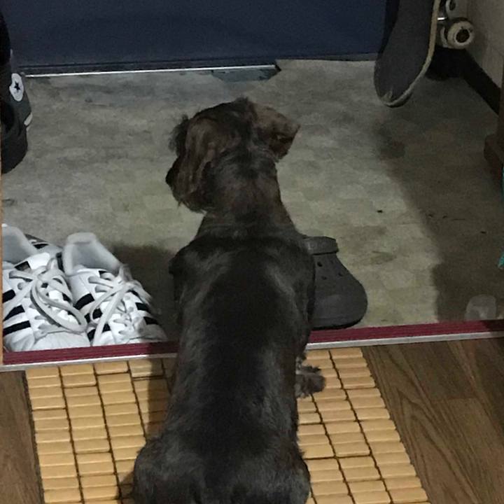 4e4f5779 d7b0 4ef5 85ce 2434e5bf8372 1527934417494