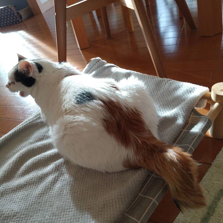 4e4fbb82 edbf 4eb1 b11b f874ee71934d 1699830947982