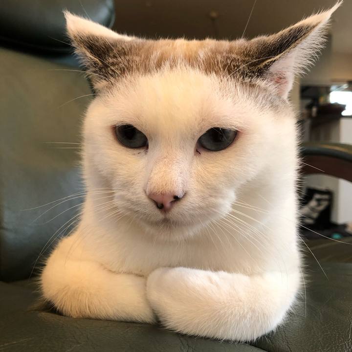 4e4fbd1f 4aeb 4eec b1f9 96e48a3dc228 1565100721159