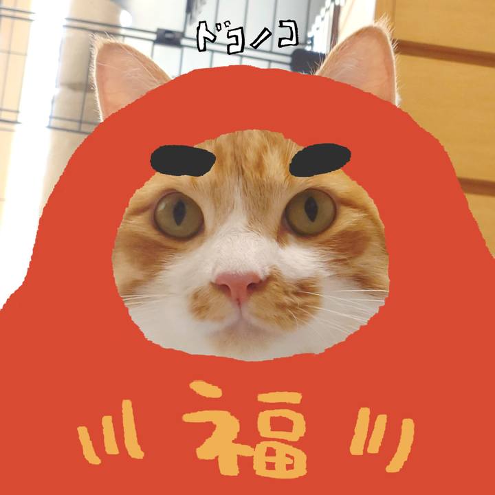 4e4fcd23 c8c3 4fe1 84f2 9b3a270a1584 1772270587401