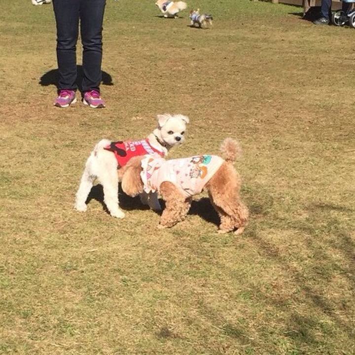 4e4fd506 3a22 4457 ad84 73a791e72108 1511093072835