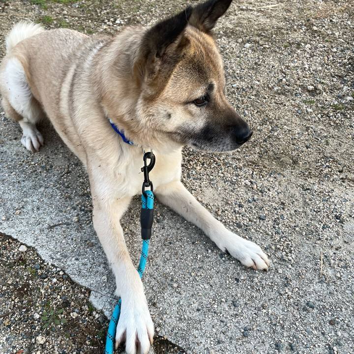 4e4ff6be 6c38 449f a88a 1cfa98fdf9a9 1677589247114