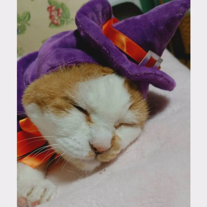 4e503473 95b6 4004 977d a7517c804fc7 1697979694523