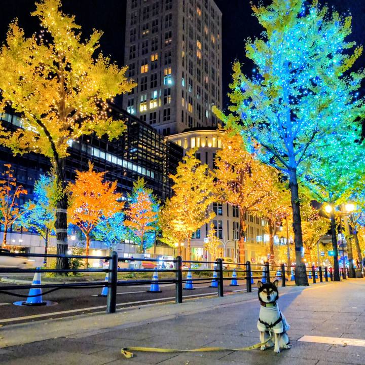 4e509e1f efba 48b6 a572 8923e098a5ee 1764431849806