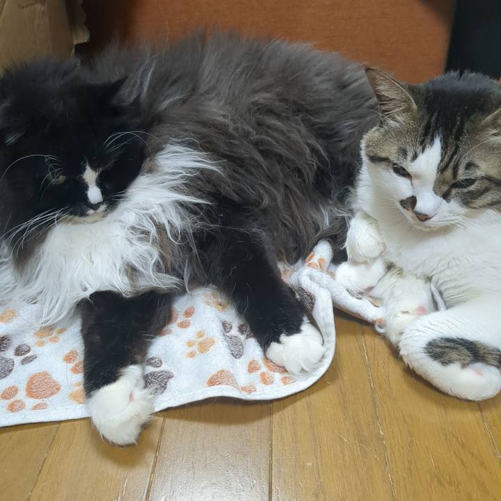 4e50b0bb 6b8e 40a5 ba5e 27e7a9ebe8b2 1766542046331