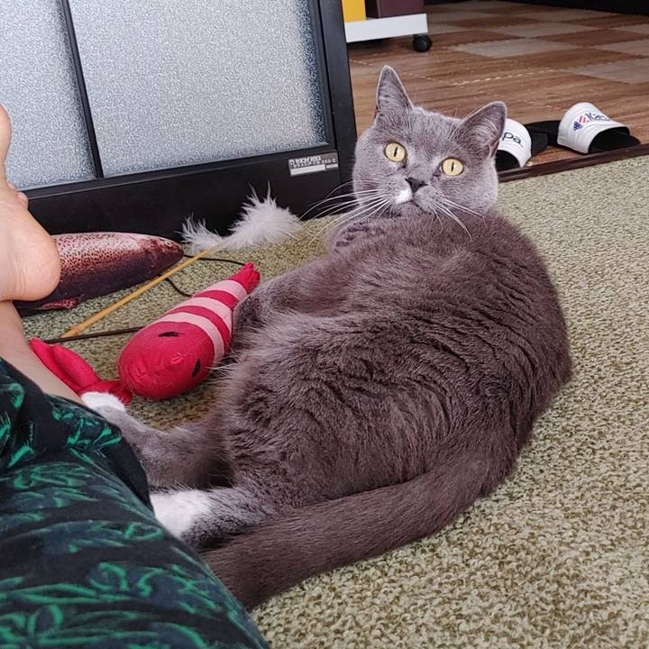 4e50bed3 04d6 4cae b457 ef0e9648f573 1745018322011