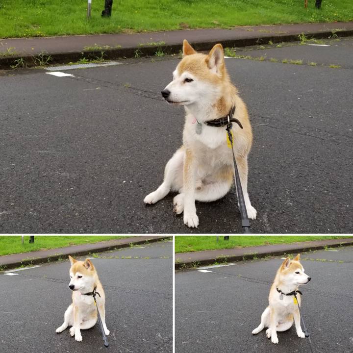 4e50c520 192b 49e7 a1fd c098777b6033 1595896380849