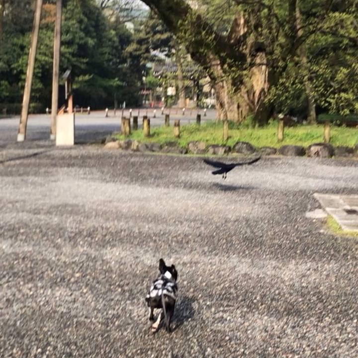 4e50d022 435f 487c b4fc 1286fb92302d 1523495463623