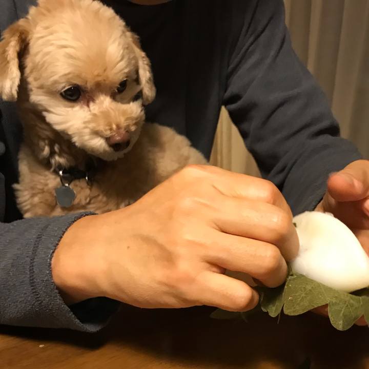 4e5105b6 120d 44ca 9b42 6ebd9a3e7e6e 1552376487071