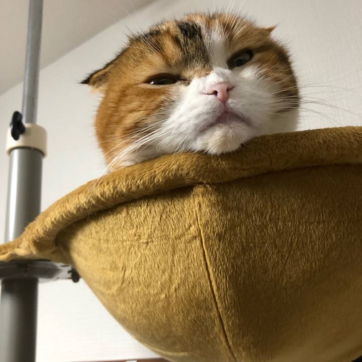 4e5112b9 7873 485c 99e2 74ce78c9351e 1574861017992