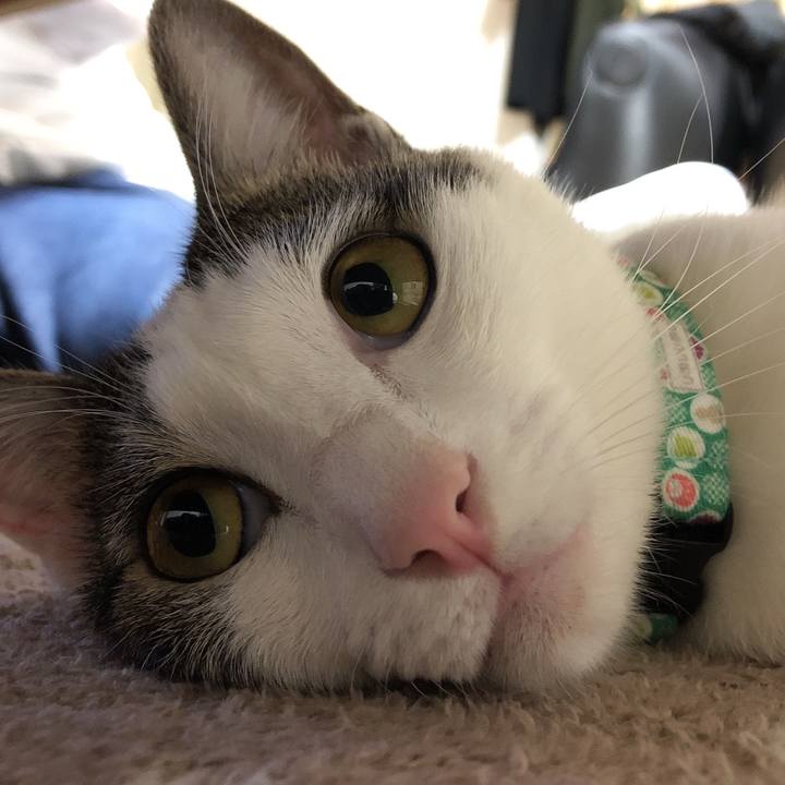 4e511b59 4261 4ff9 ac88 33fa28fdcf46 1604750660042